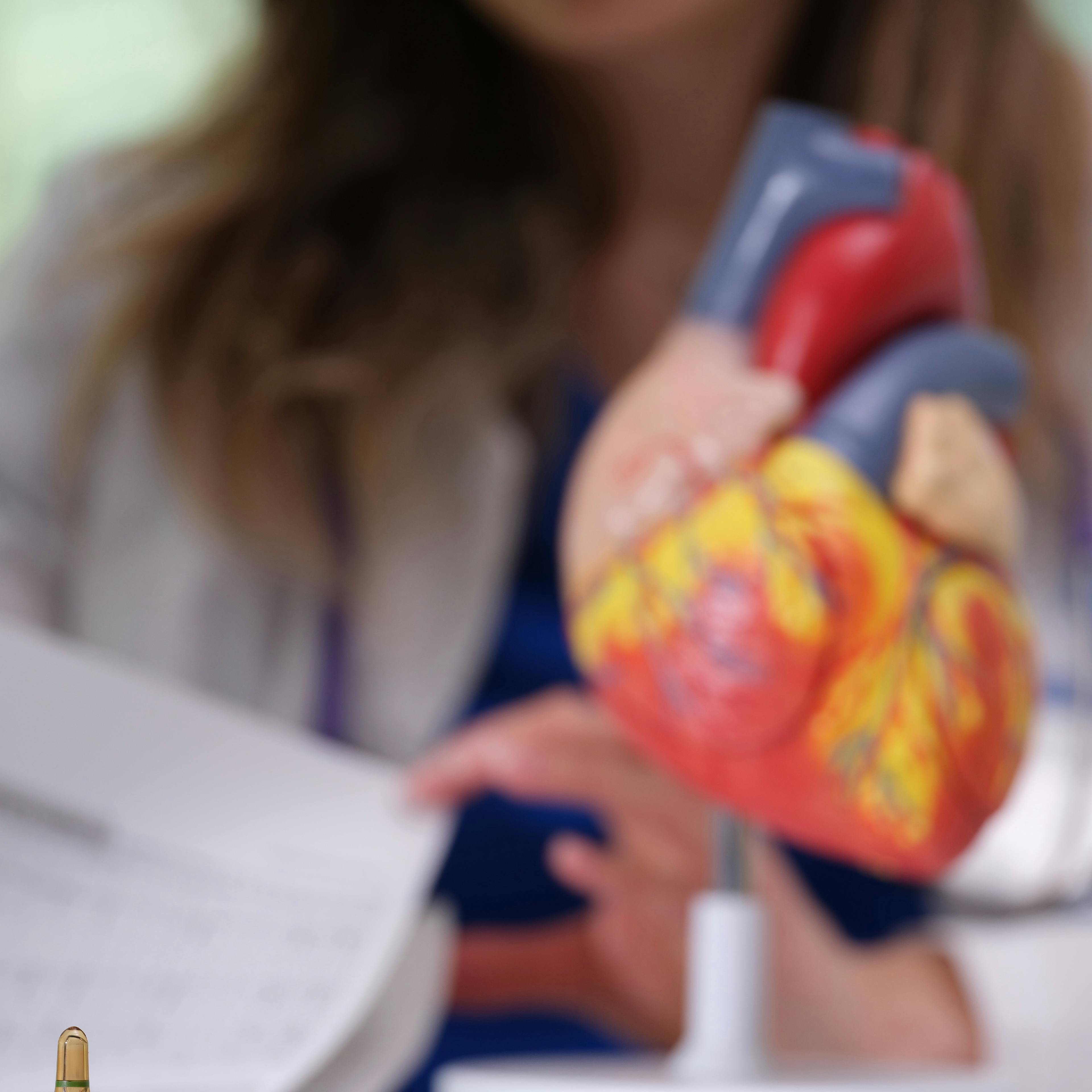 A model of a heart to demonstrate atrial fibrillation.