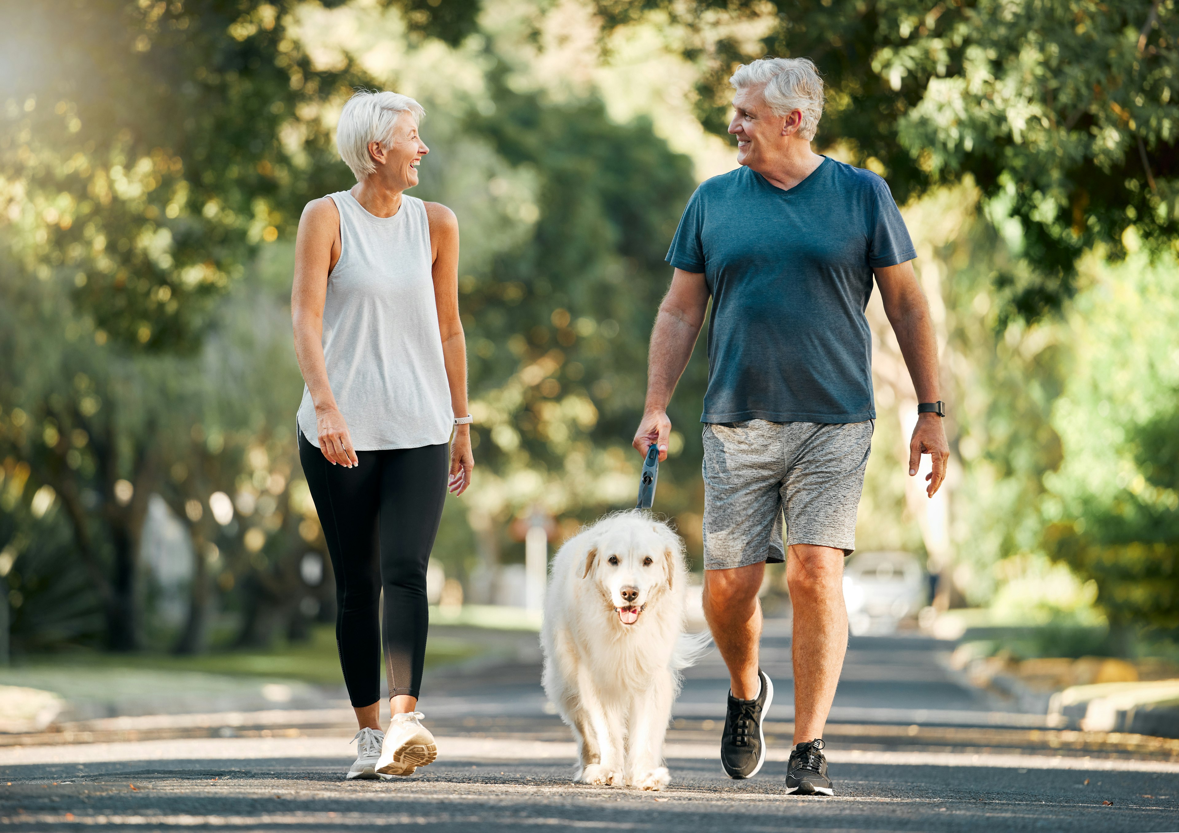 Older couple walking together with their dog on a tree-lined path for cardiovascular health, enjoying a relaxed outdoor walk for Heart Month