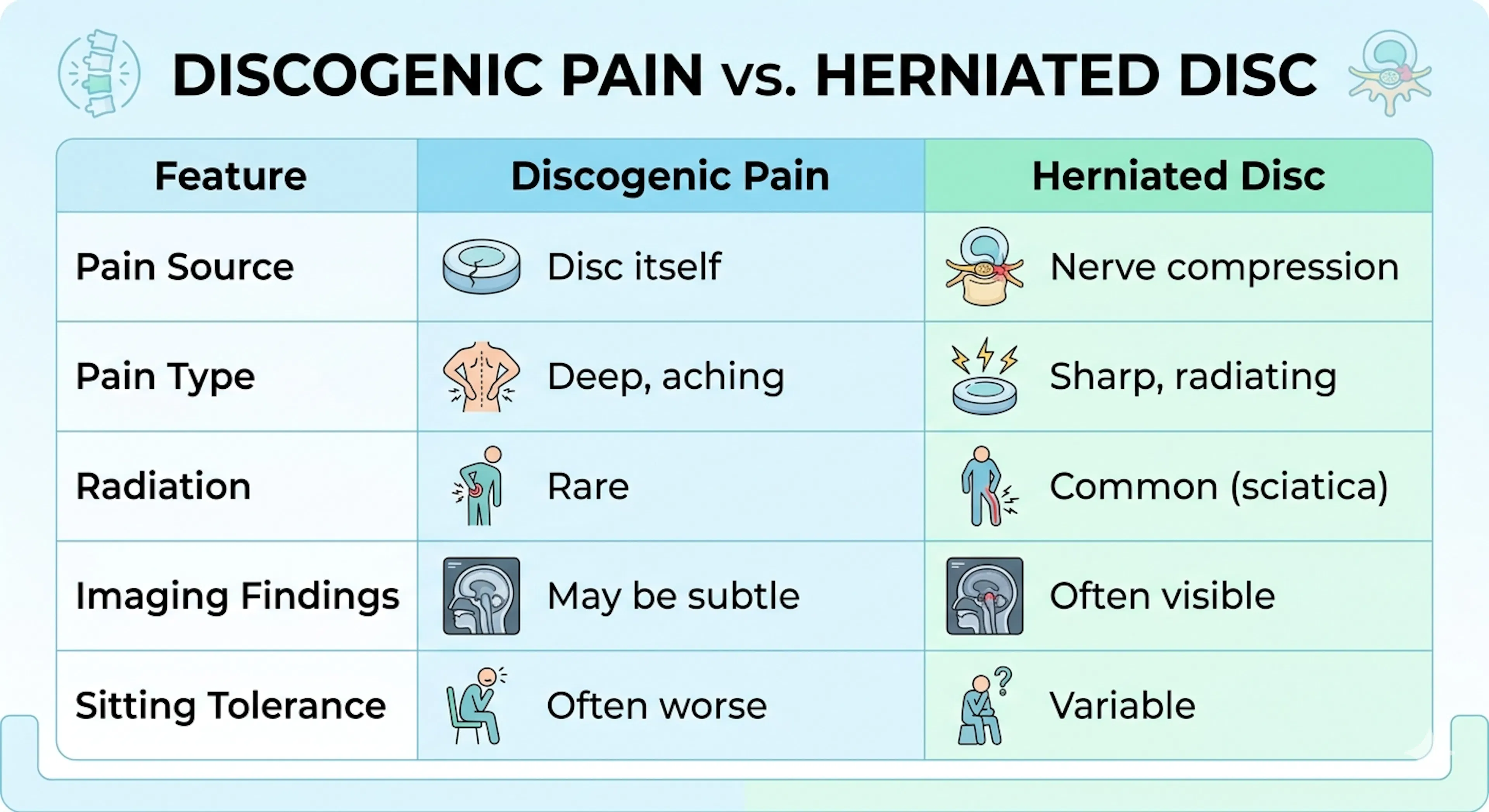 Discogenic Pain vs Herniated Disc:  Symptoms and Treatments | CLS Health