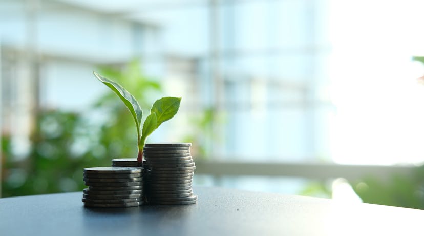 Bourse et biodiviersité