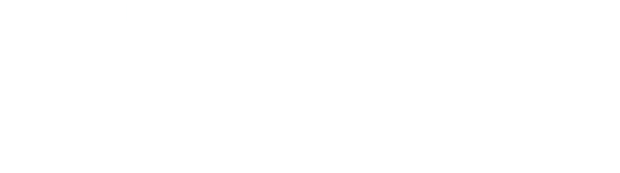 logo-bdl-blanc