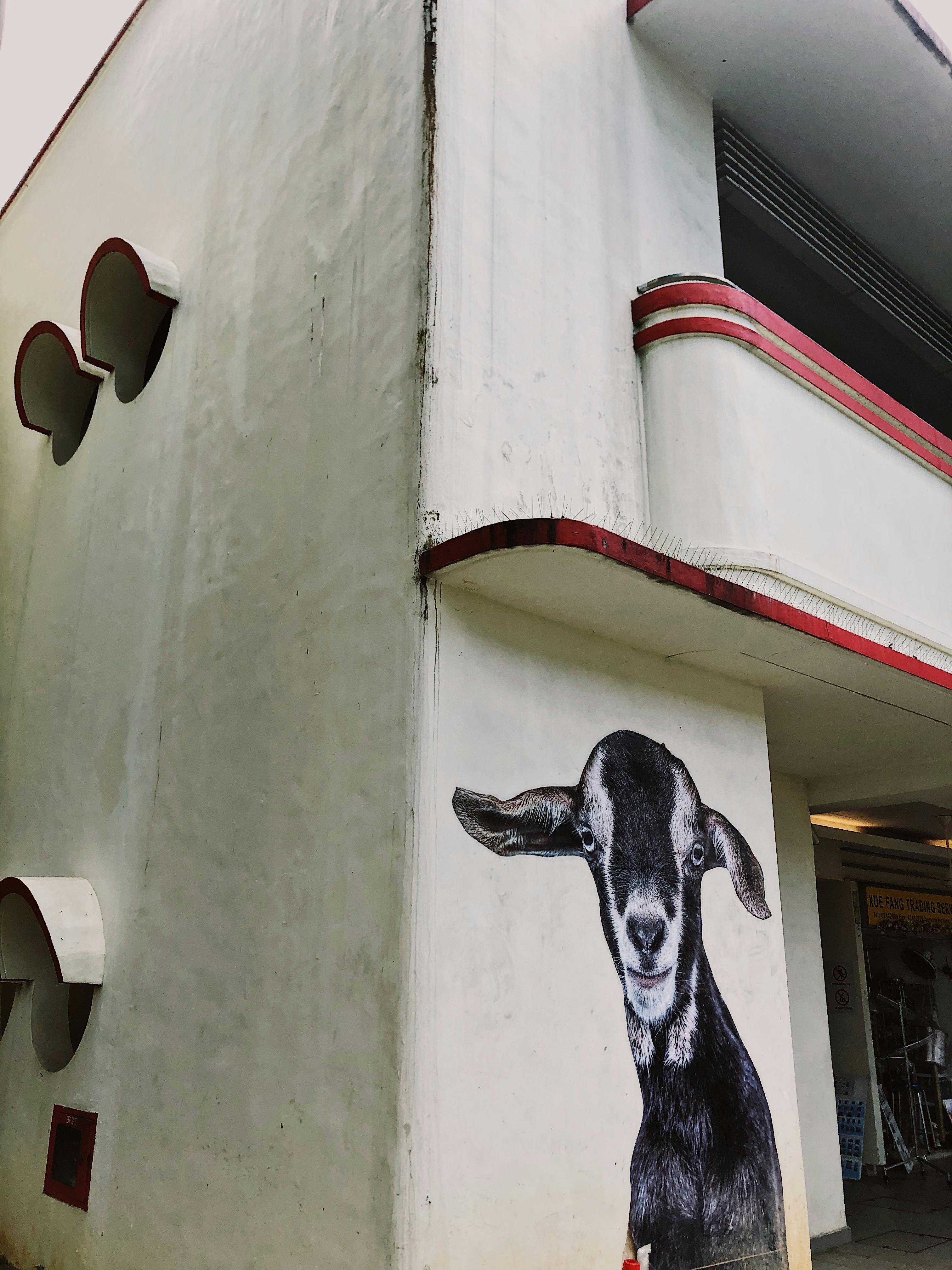 A murales on a Tiong Bahru building