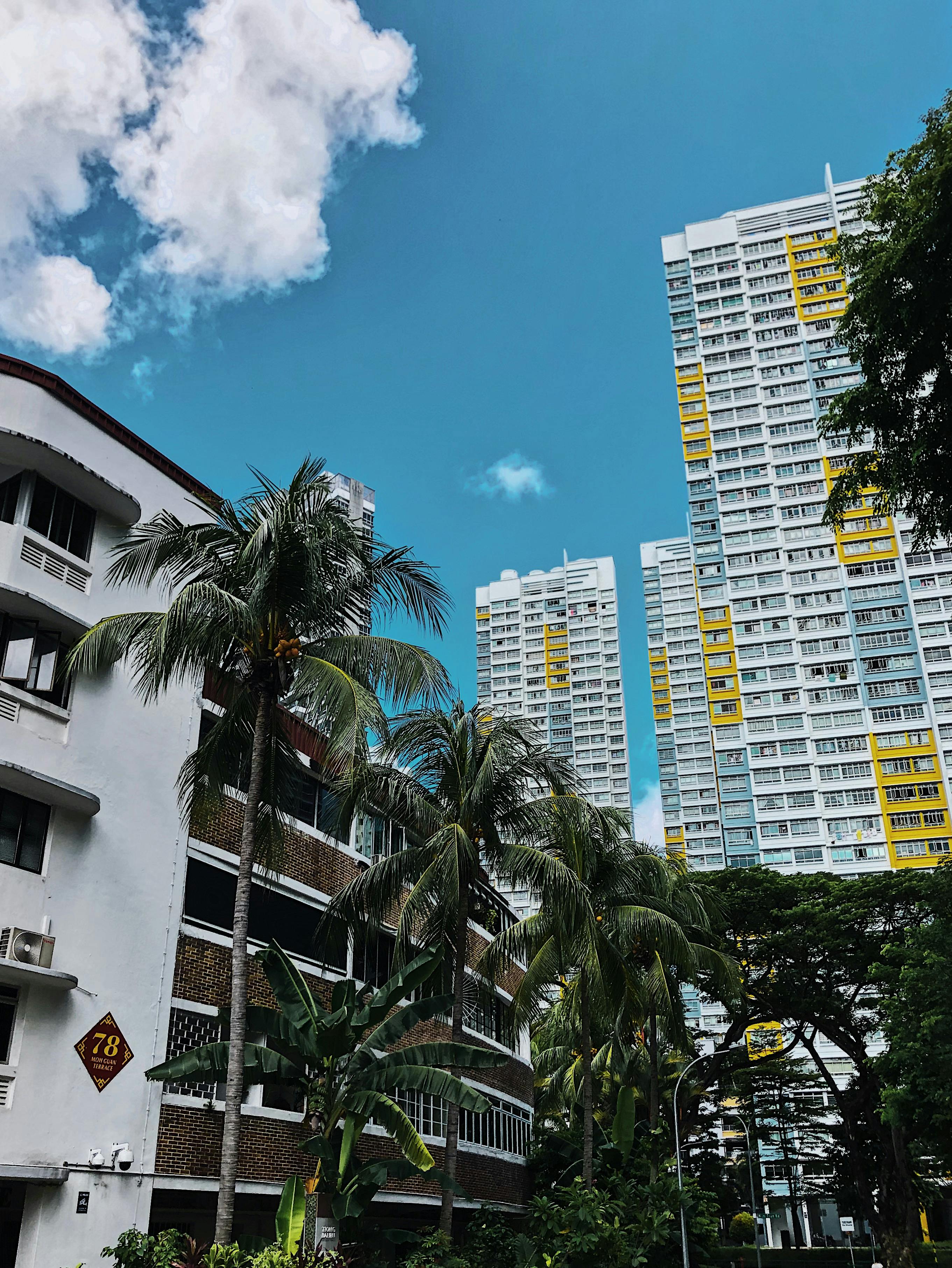 A condo and a walkup in TIong Bahru