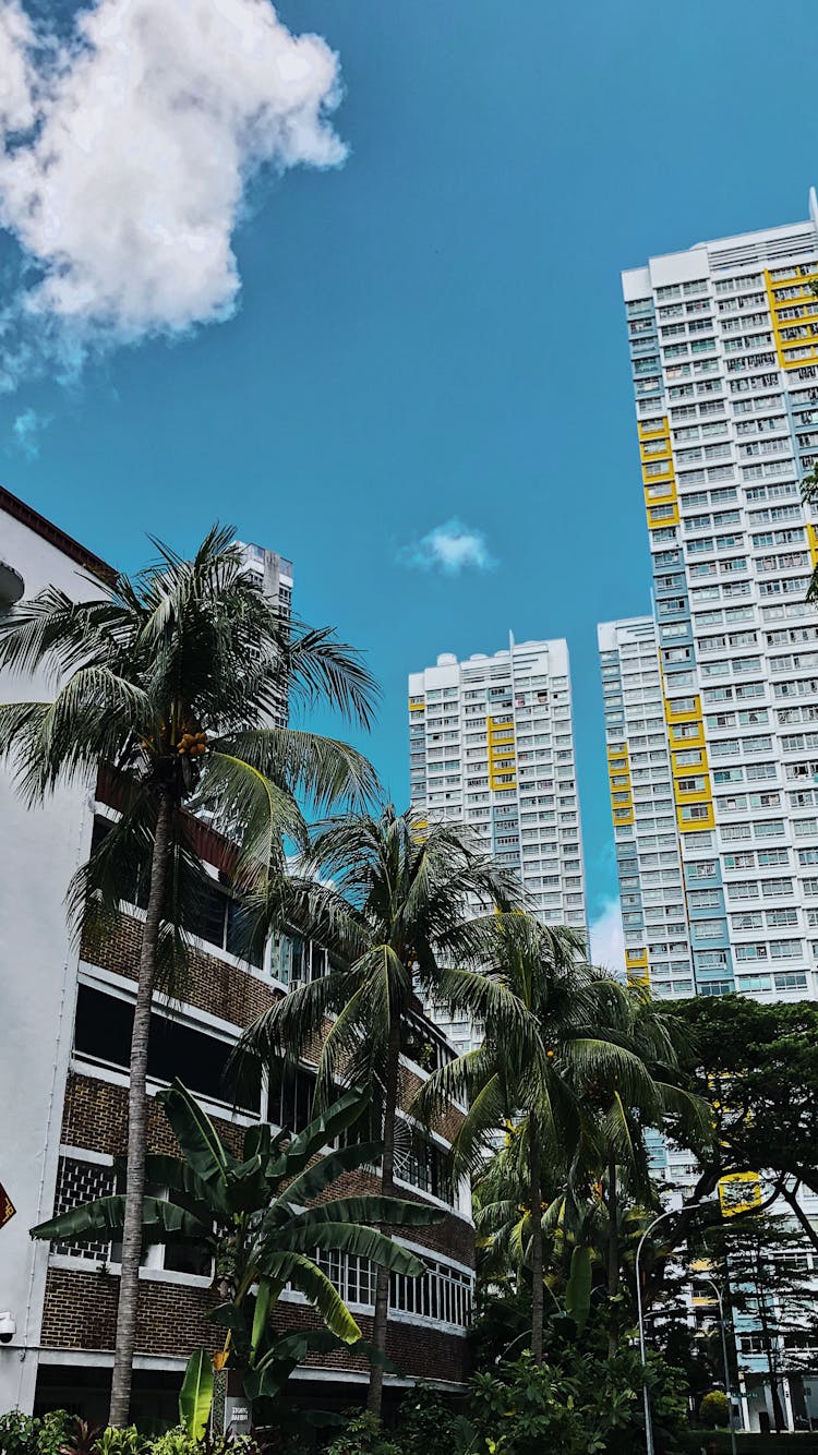 image A condo and a walkup in TIong Bahru