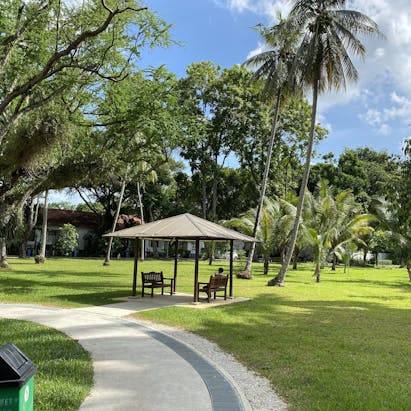 A park in Novena