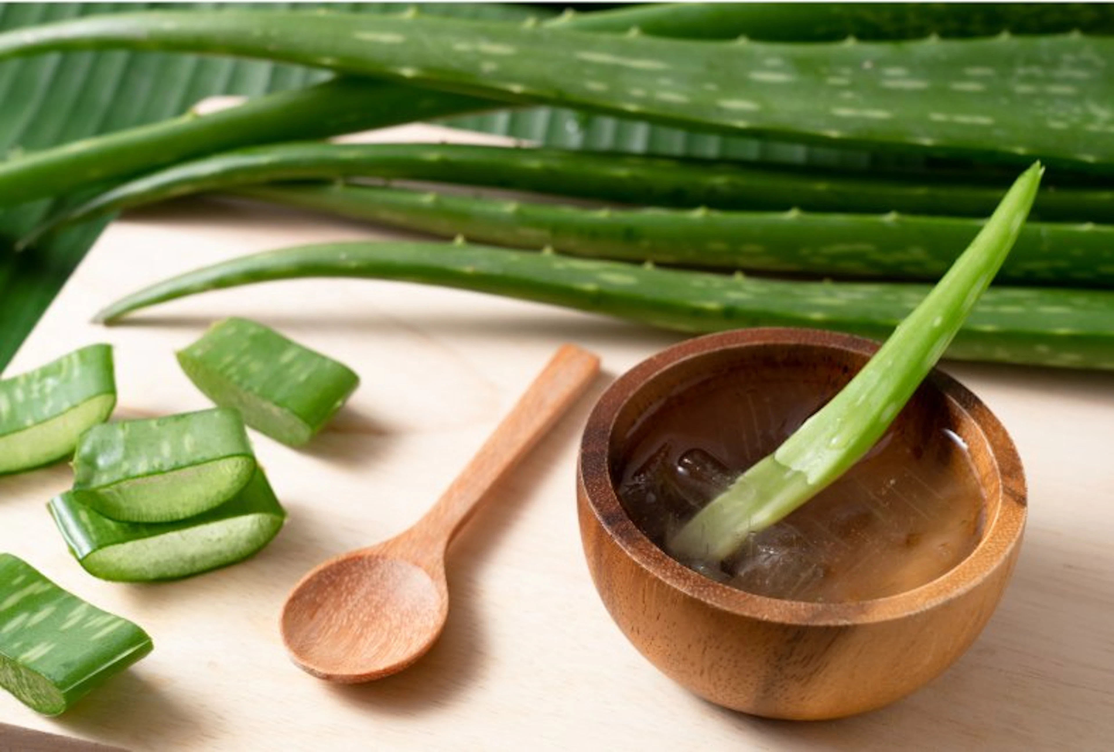 aloe_vera