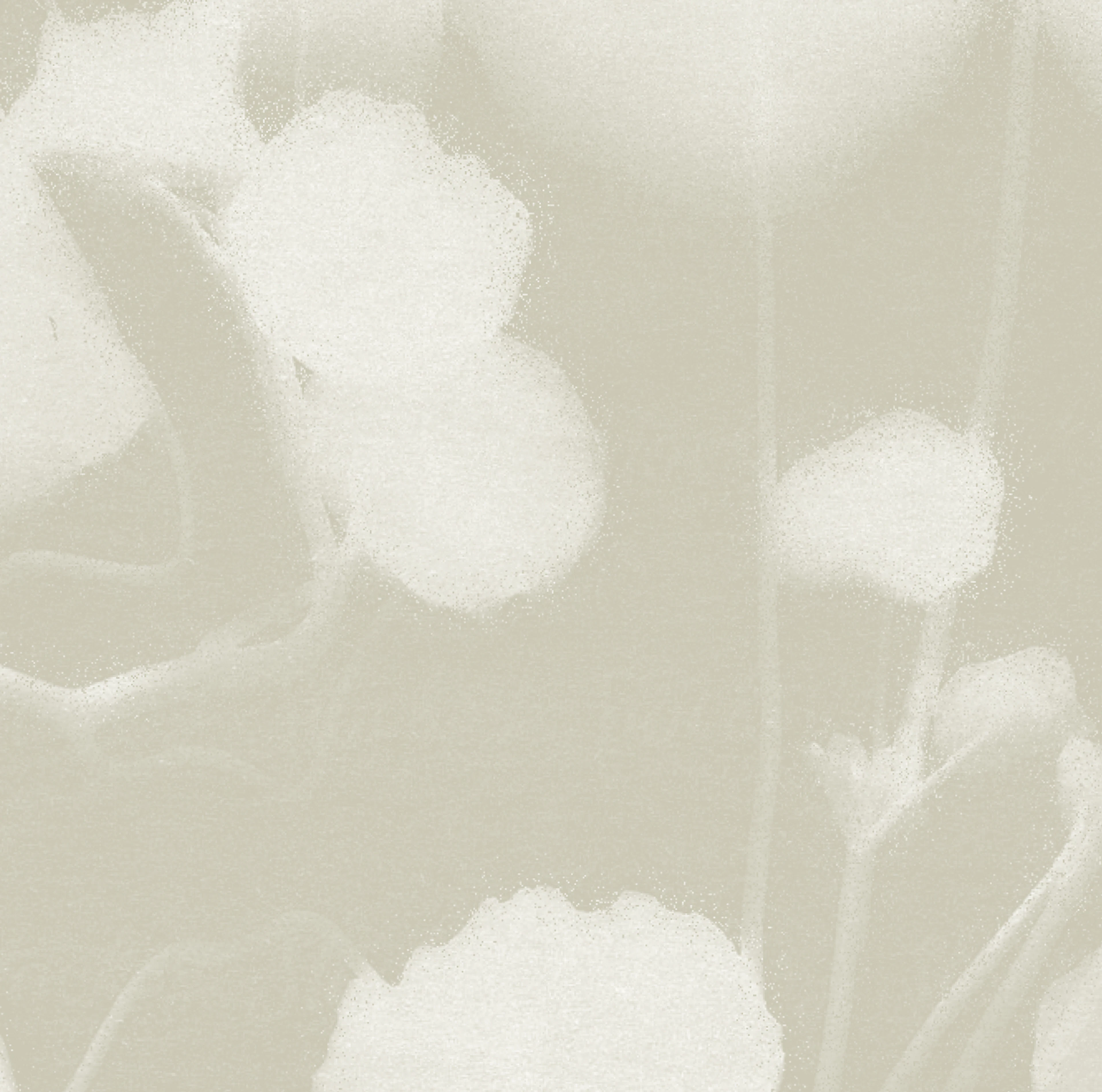 Formation Image Background-2