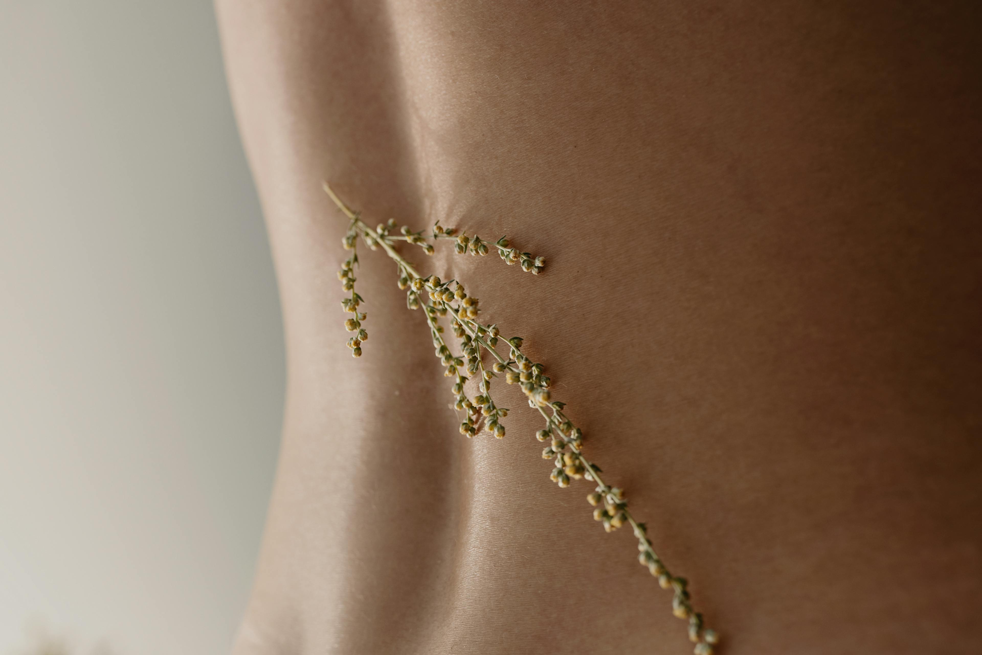 Praticien de la Santé & Naturopathe