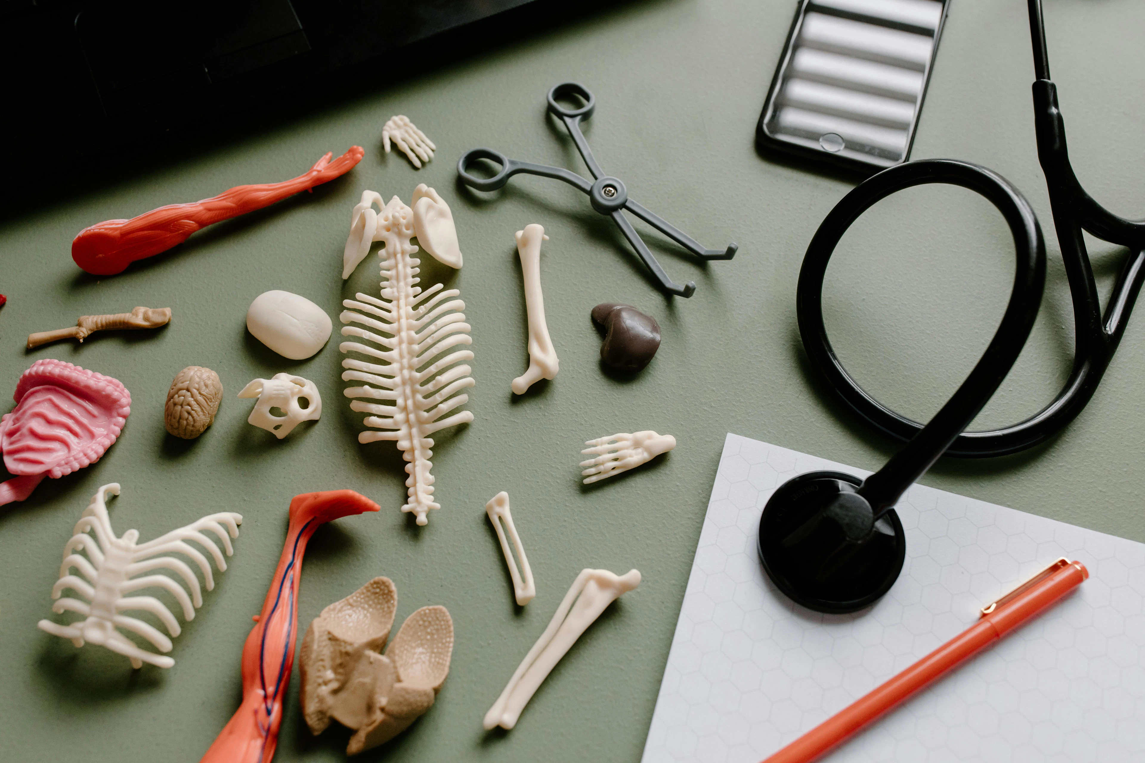 Programme de Praticien de la Santé PS800