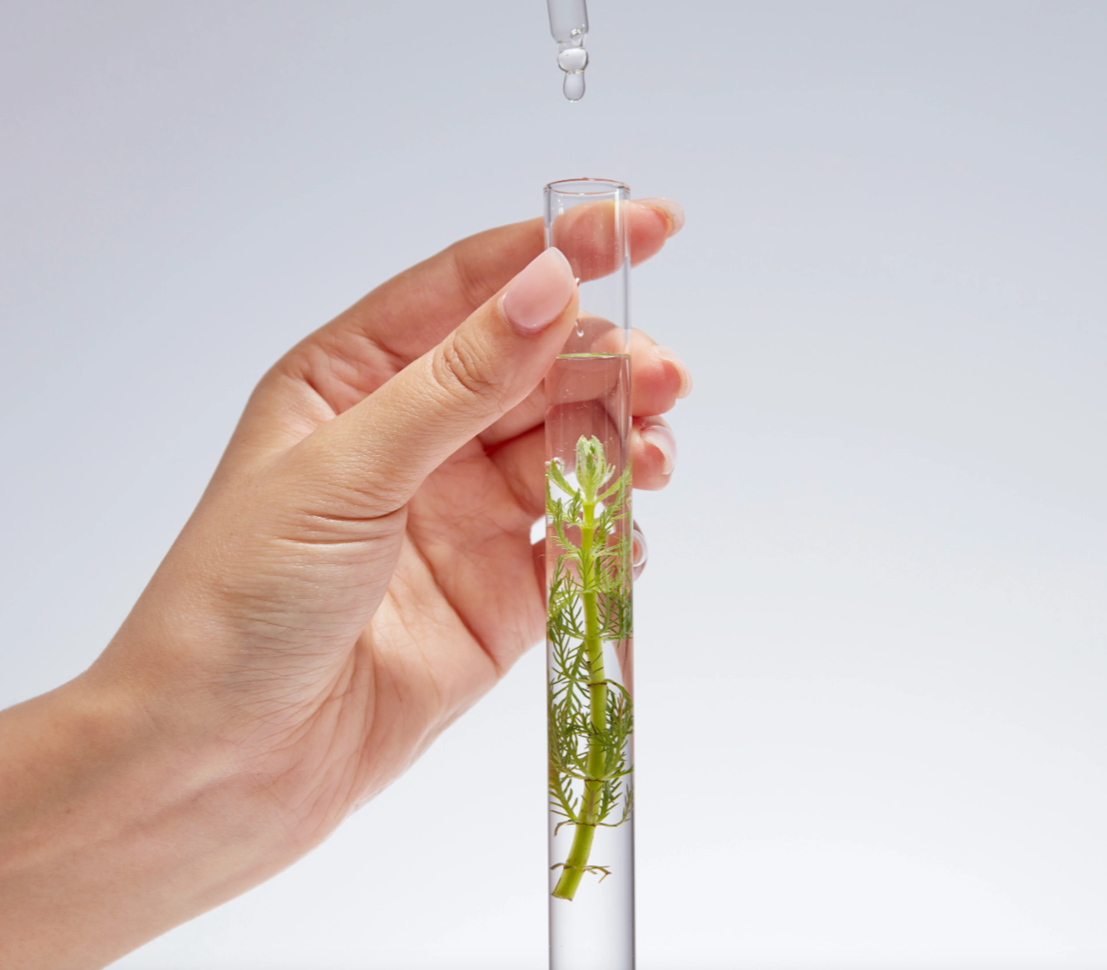  Programme de Bioénergétique EN500