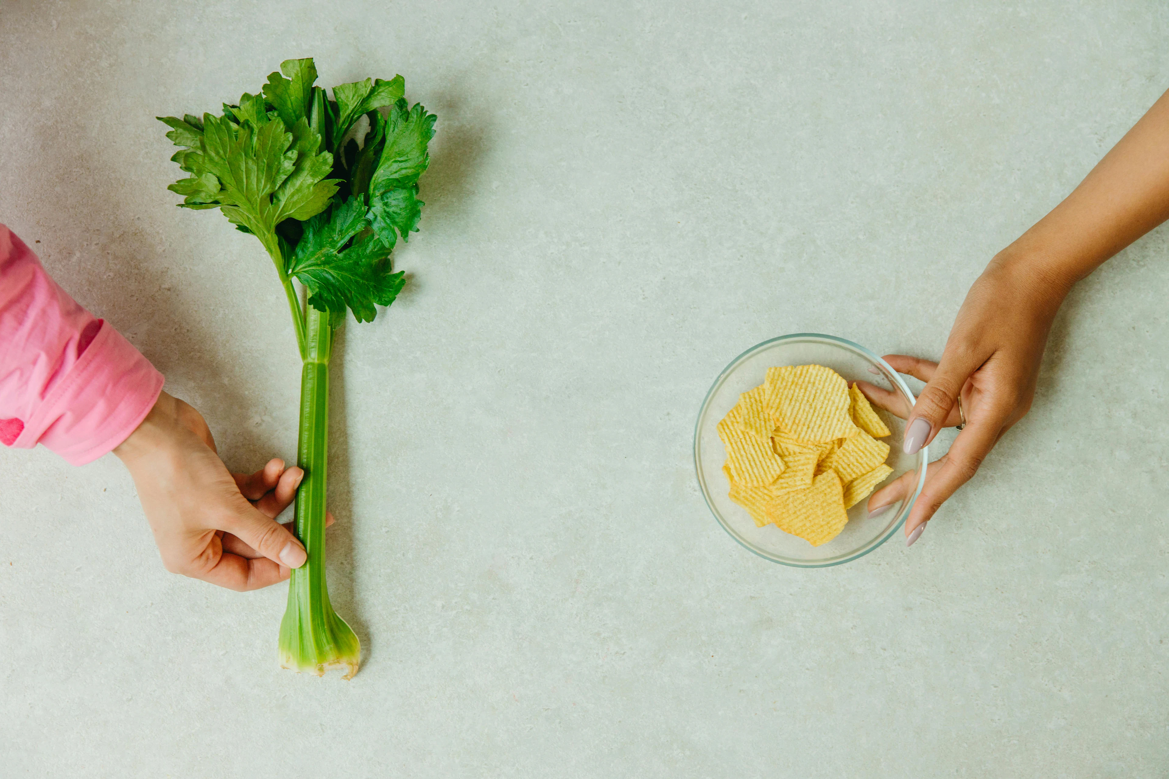Programme de Naturopathie