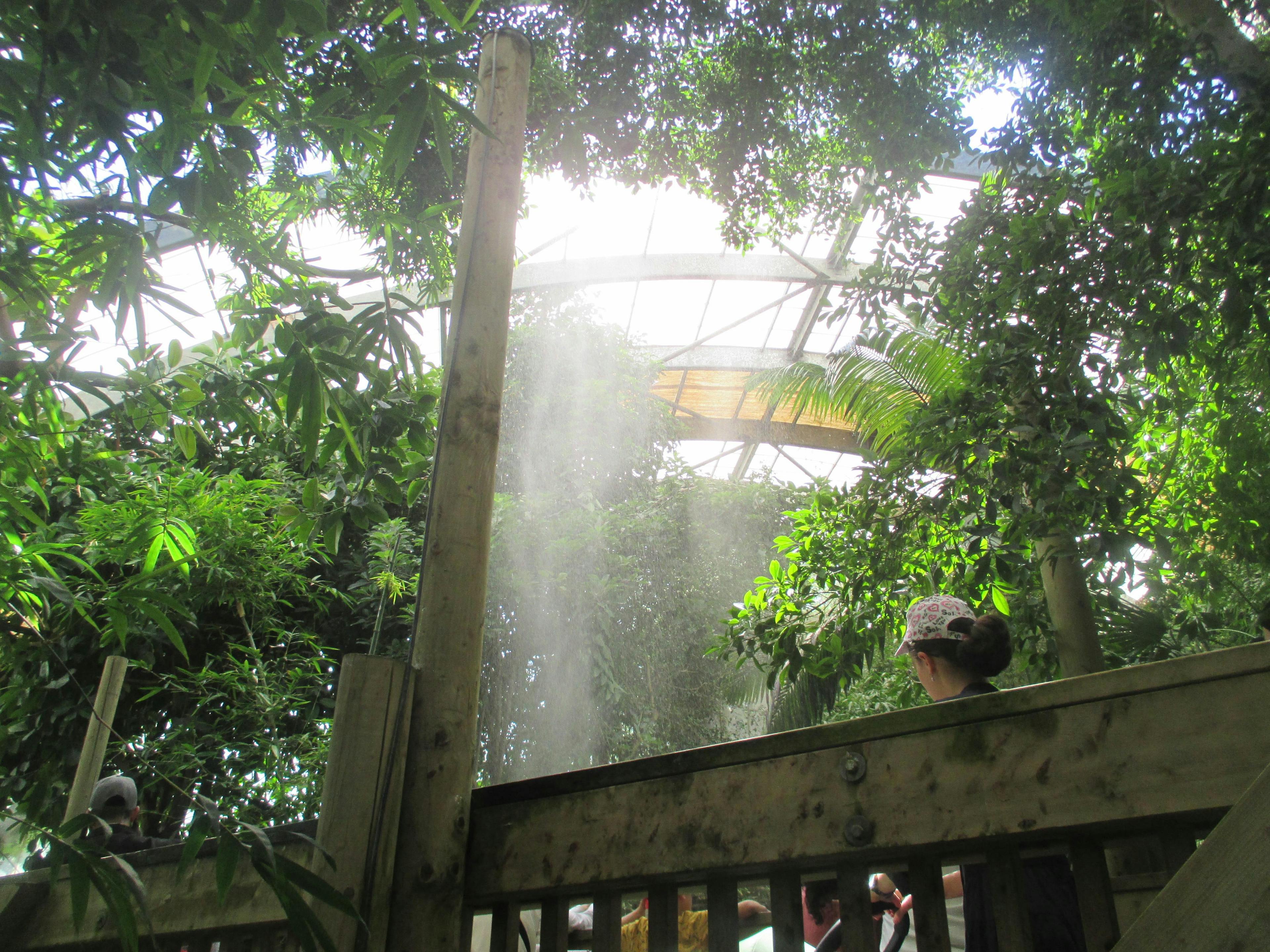 Cascade