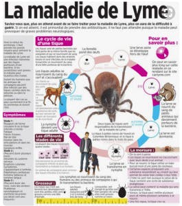 lyme disease