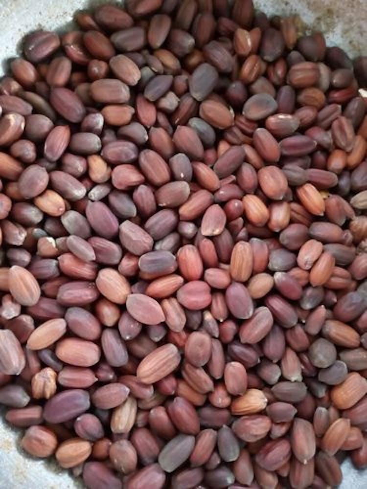 jojoba-seed