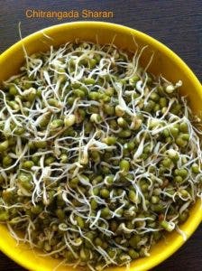 sprouts