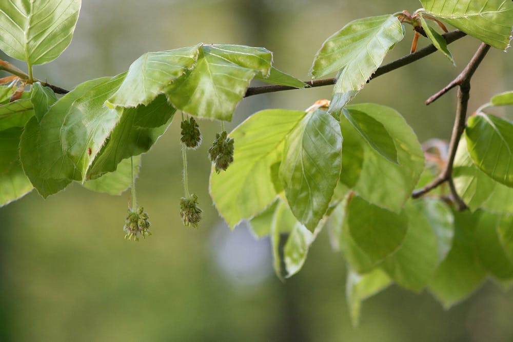 85f62b_153ac4d803c4450ebcfb3edb1ede9619_mv2