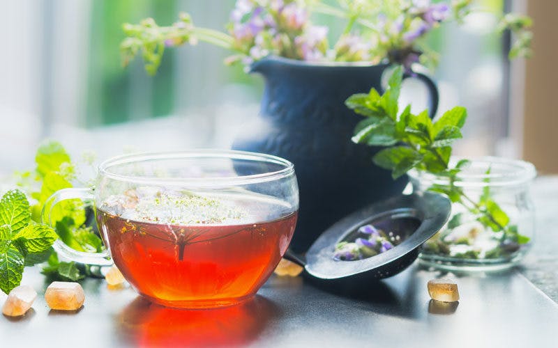 naturopathy-800x500-1