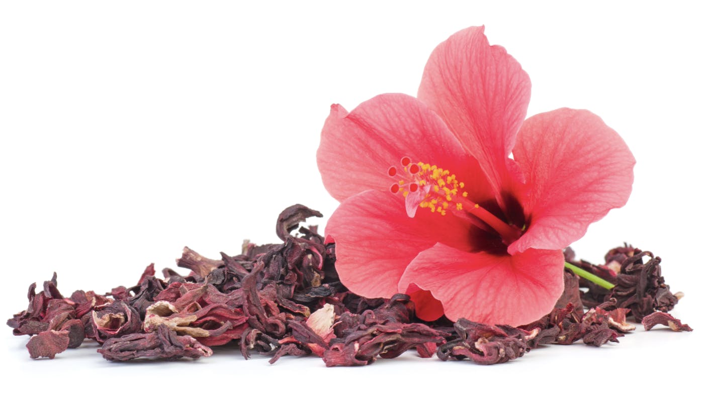 Capture d’écran 2023-09-07 à 18.43.34