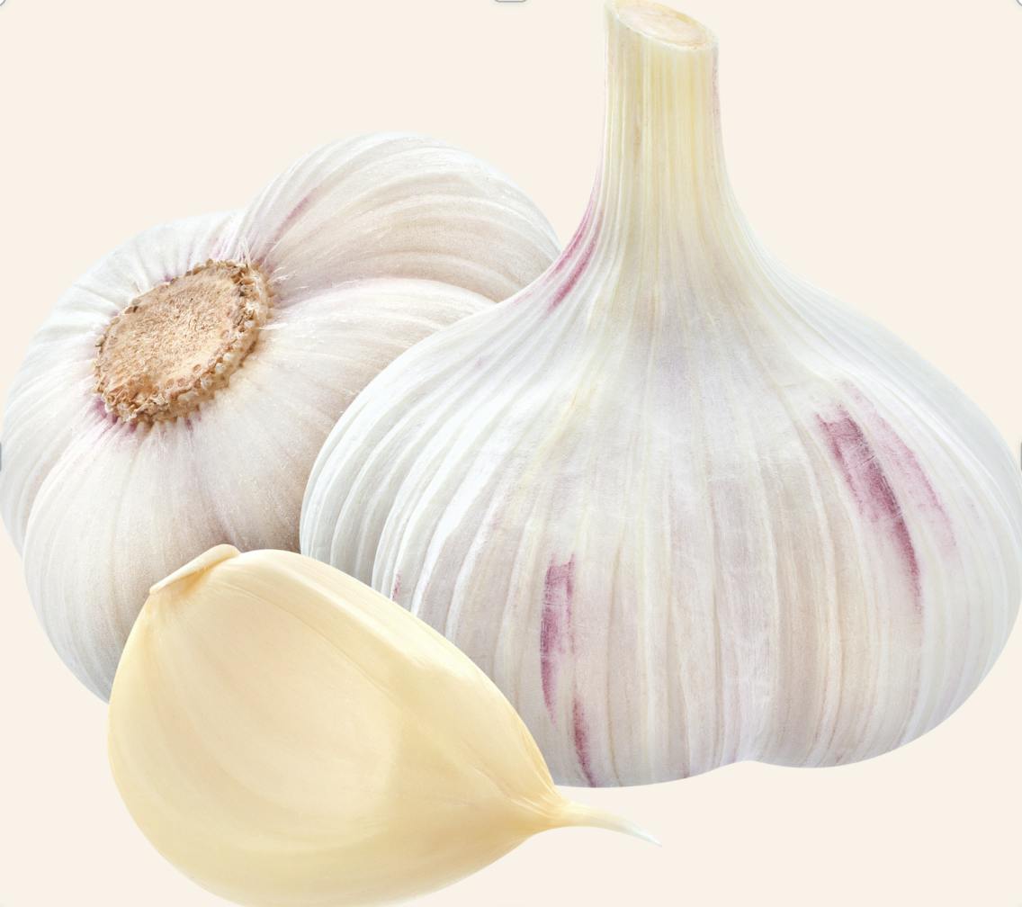 Capture d’écran 2023-06-23 à 10.42.45