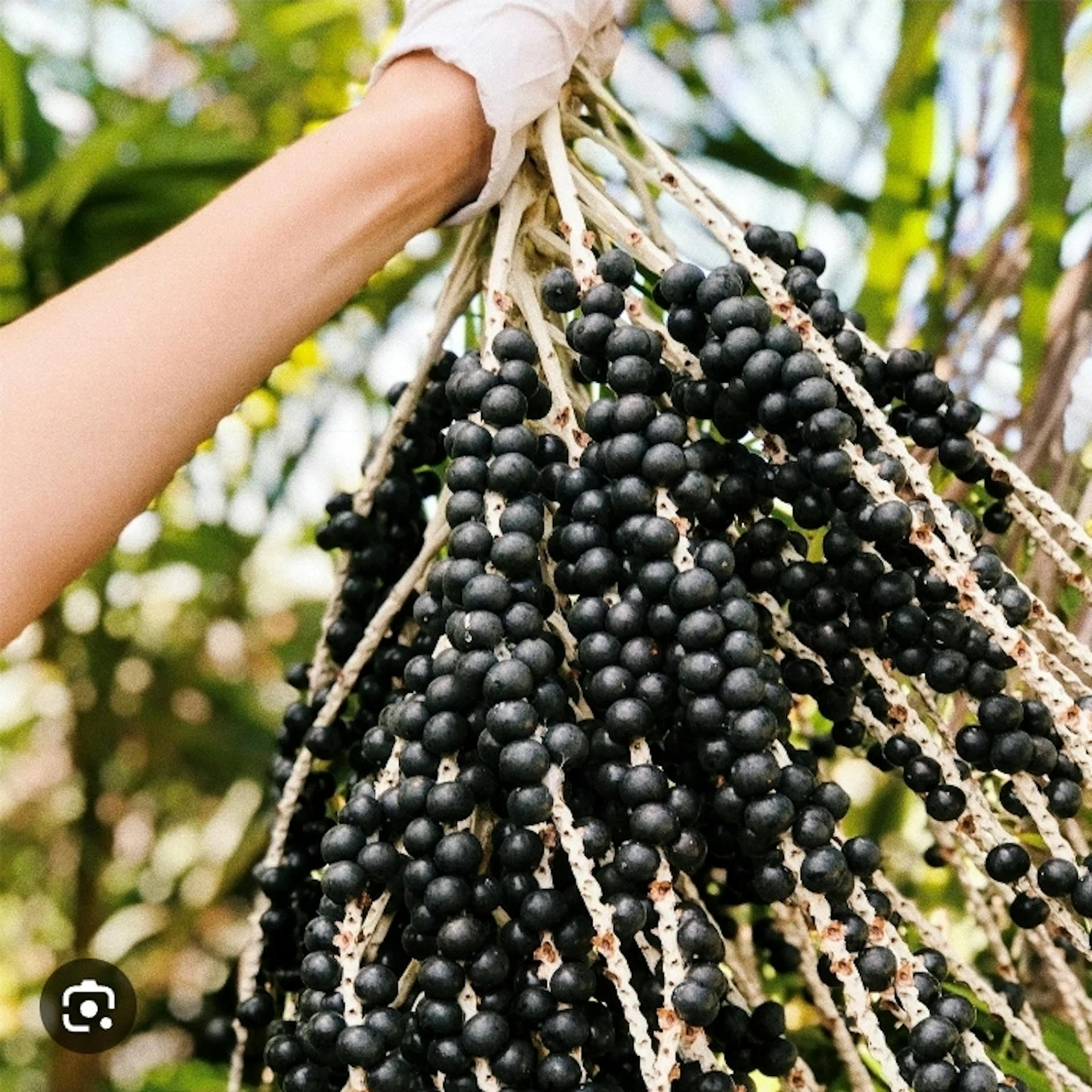 tempFileForShare_20230706-120715