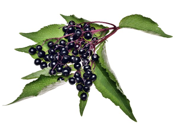 Capture d’écran 2023-11-03 à 13.01.56