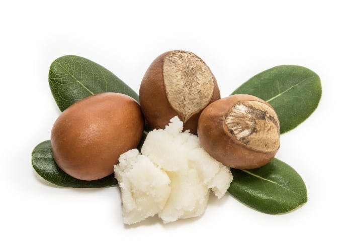 Capture d’écran 2023-11-29 à 13.37.36