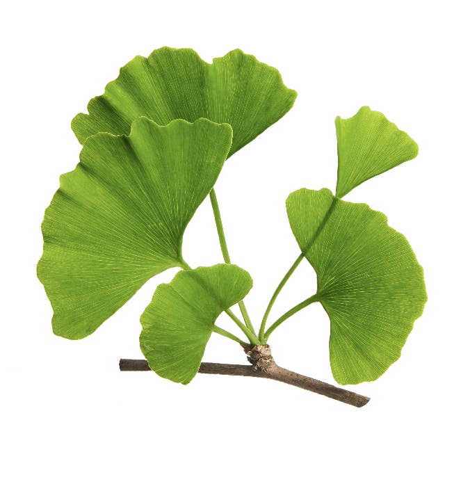 Capture d’écran 2023-11-29 à 17.38.23