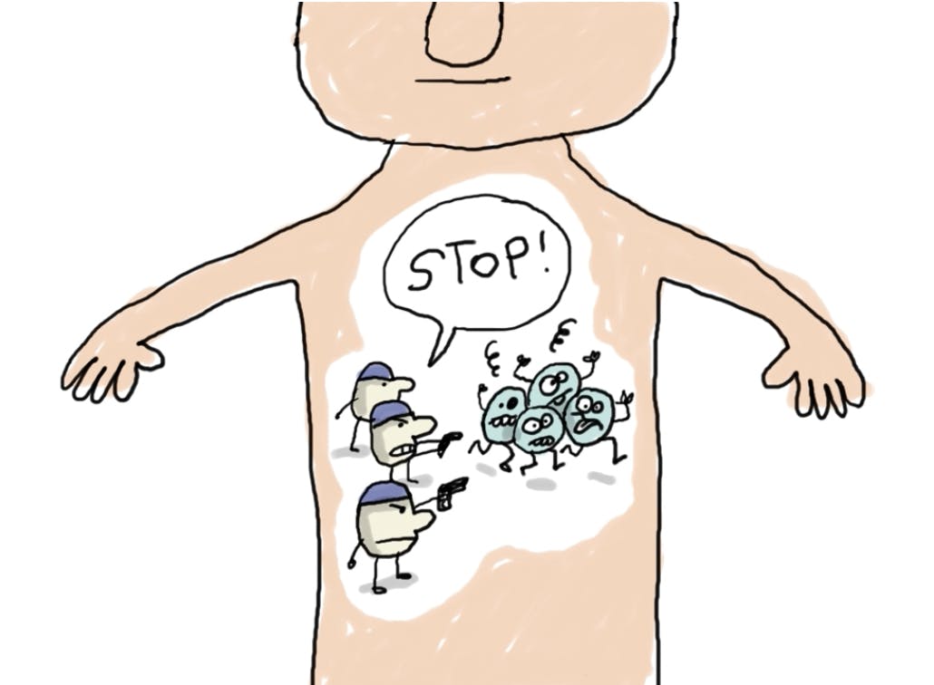 Capture d’écran 2024-01-04 à 18.20.03