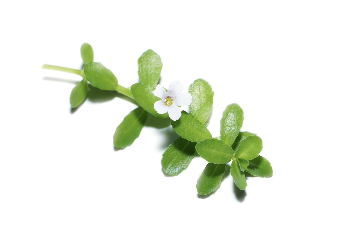 Capture d’écran 2024-01-04 à 19.39.37