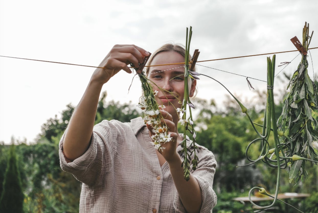 Capture d’écran 2024-04-03 à 10.18.54