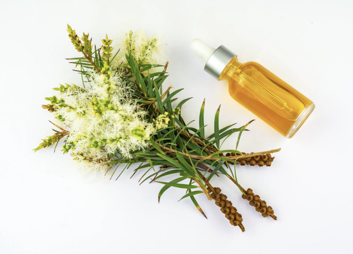 Capture d’écran 2024-01-07 à 12.44.53