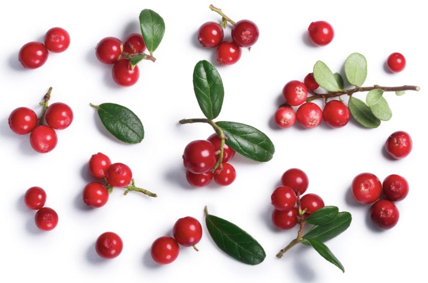 Capture d’écran 2024-03-02 à 13.06.58