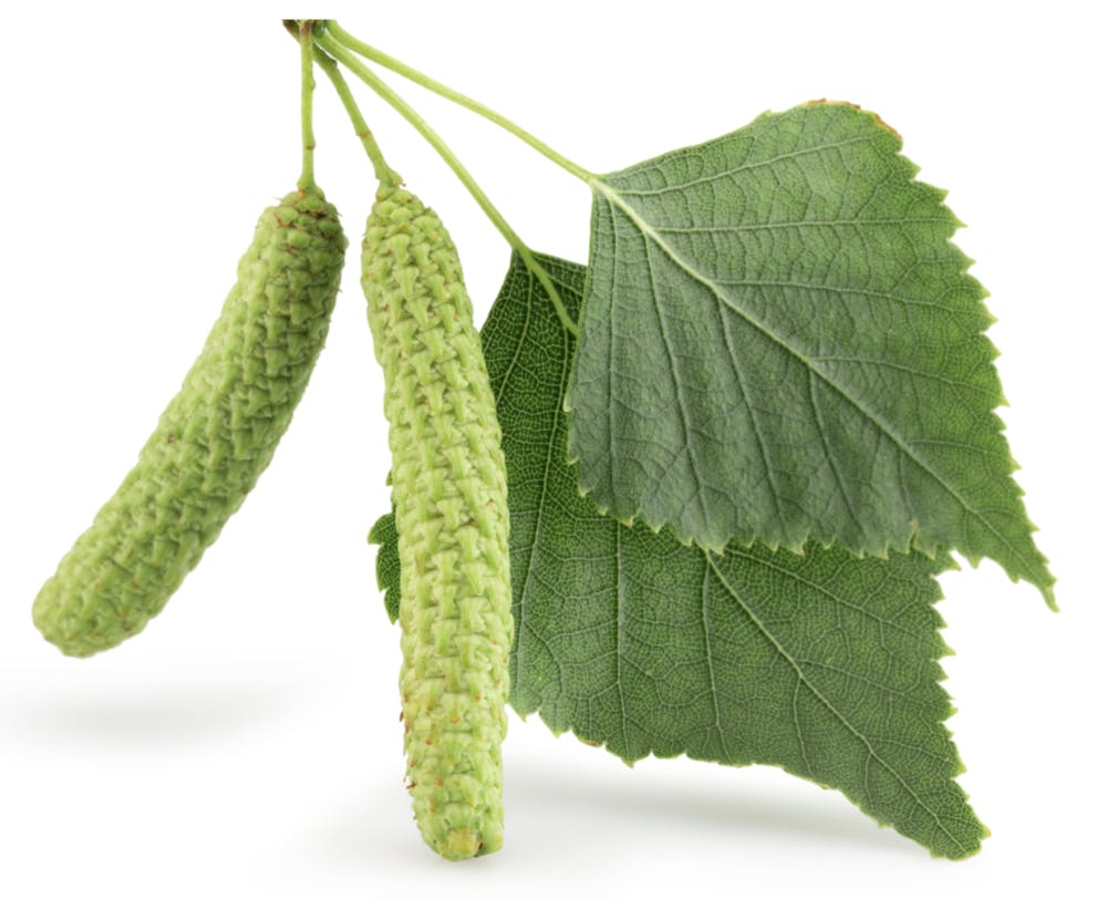 Capture d’écran 2024-05-04 à 18.28.52