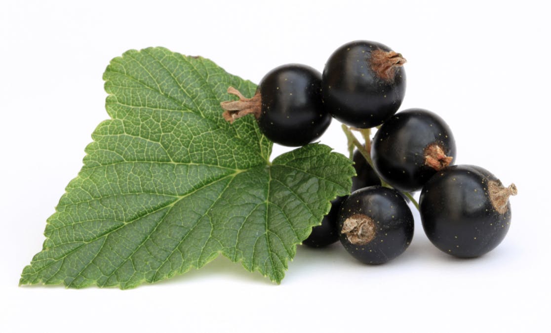 Capture d’écran 2024-05-25 à 19.09.26