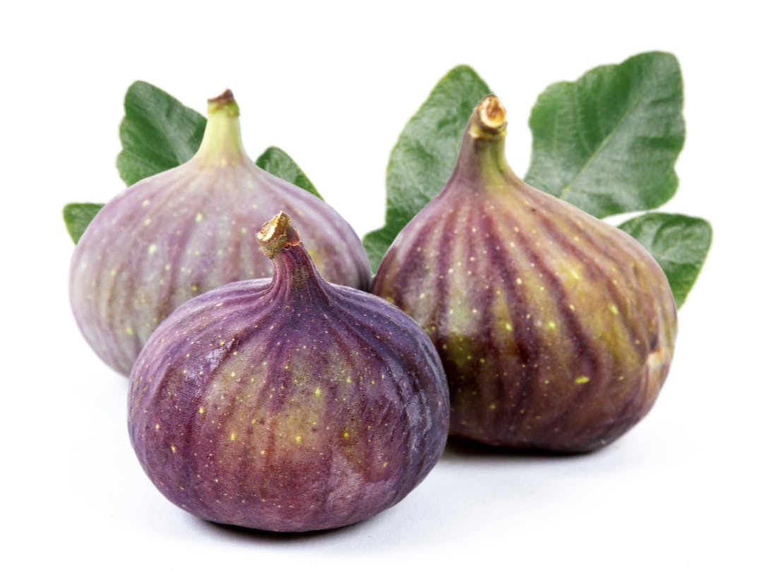 Capture d’écran 2024-07-03 à 12.17.52