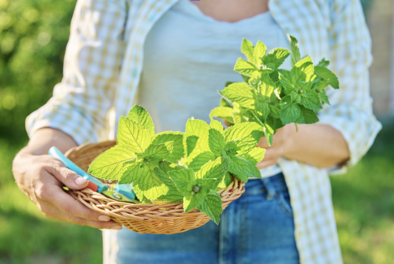 Capture d’écran 2024-06-30 à 20.40.29
