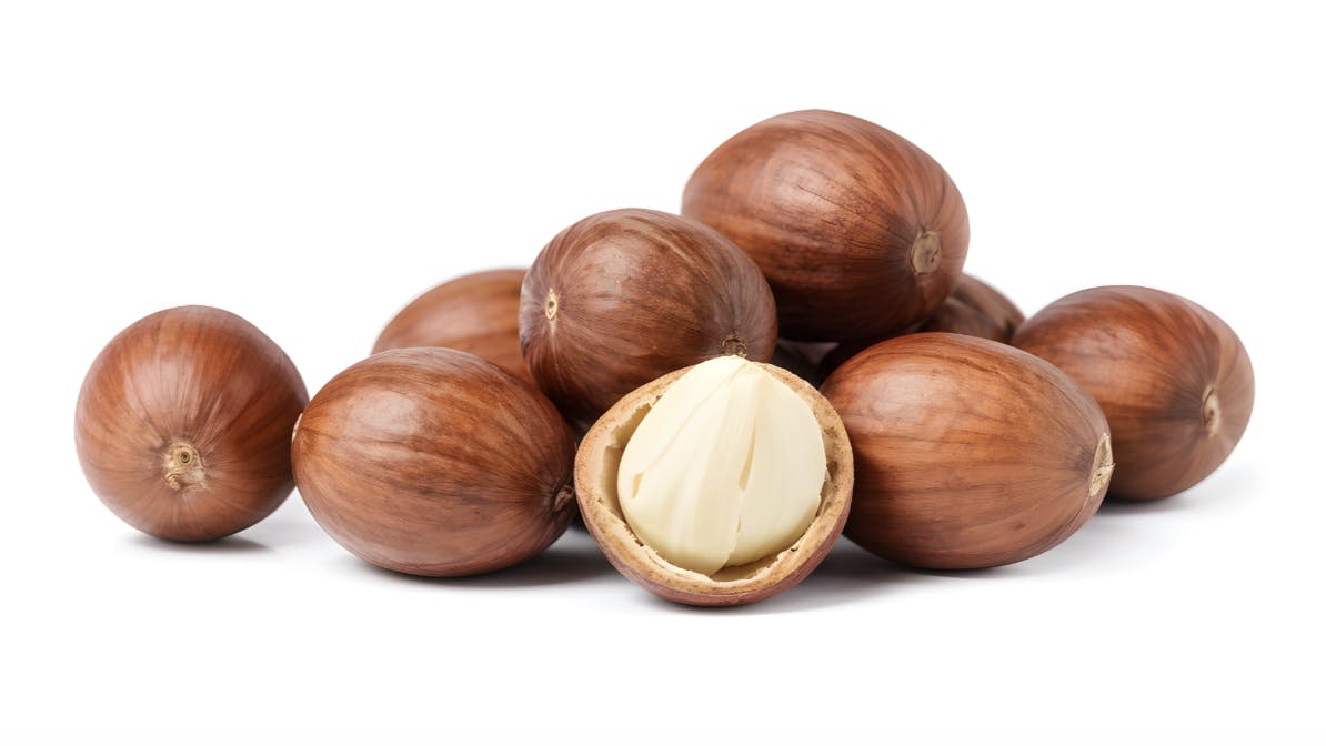 Capture d’écran 2024-08-29 à 14.05.18