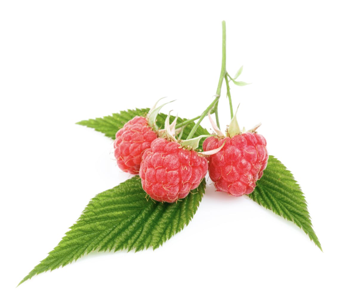 Capture d’écran 2024-08-29 à 16.44.28