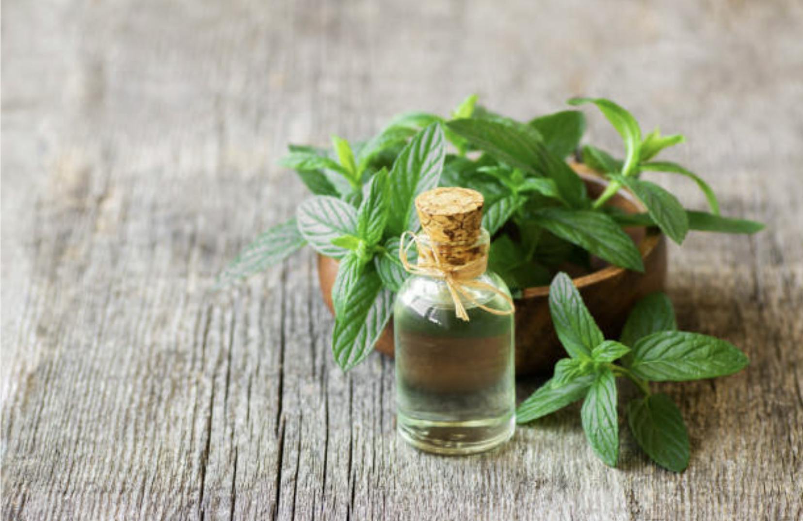 Capture d’écran 2024-10-01 à 19.26.45