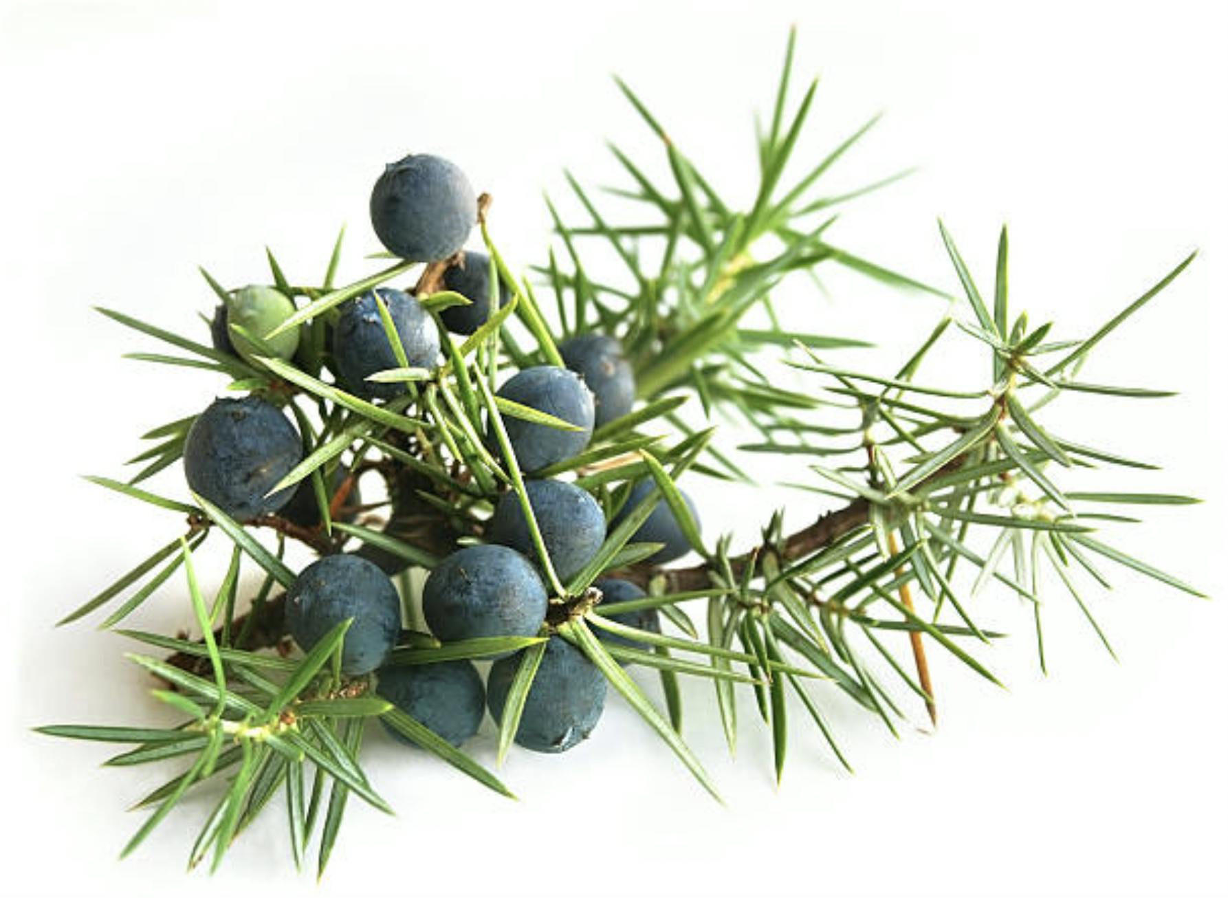 Capture d’écran 2024-10-01 à 19.49.13