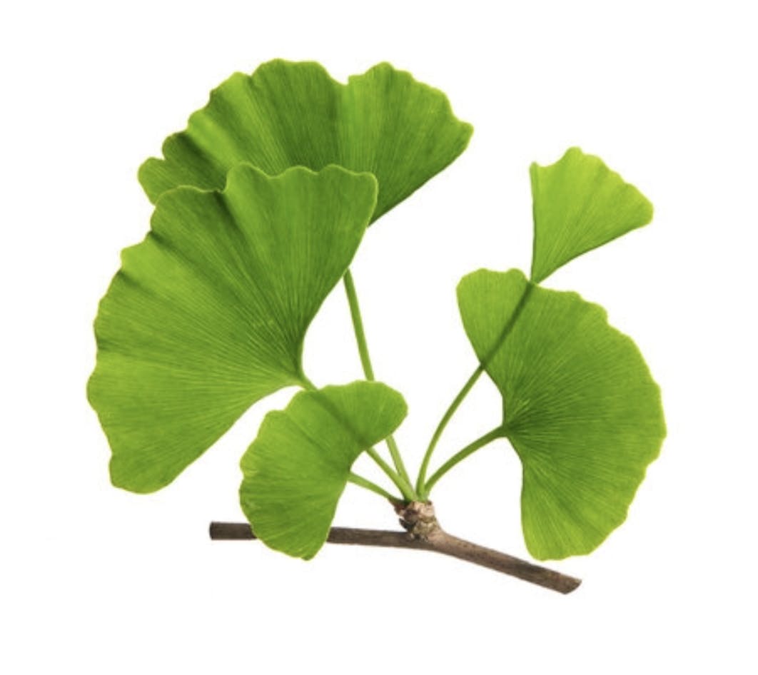 Capture d’écran 2024-11-01 à 21.59.45