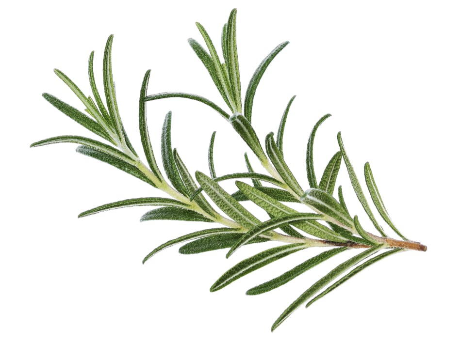 Capture d’écran 2024-12-24 à 16.06.29