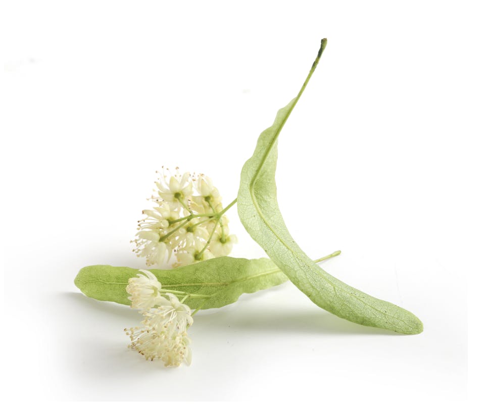 Capture d’écran 2025-02-03 à 22.29.20