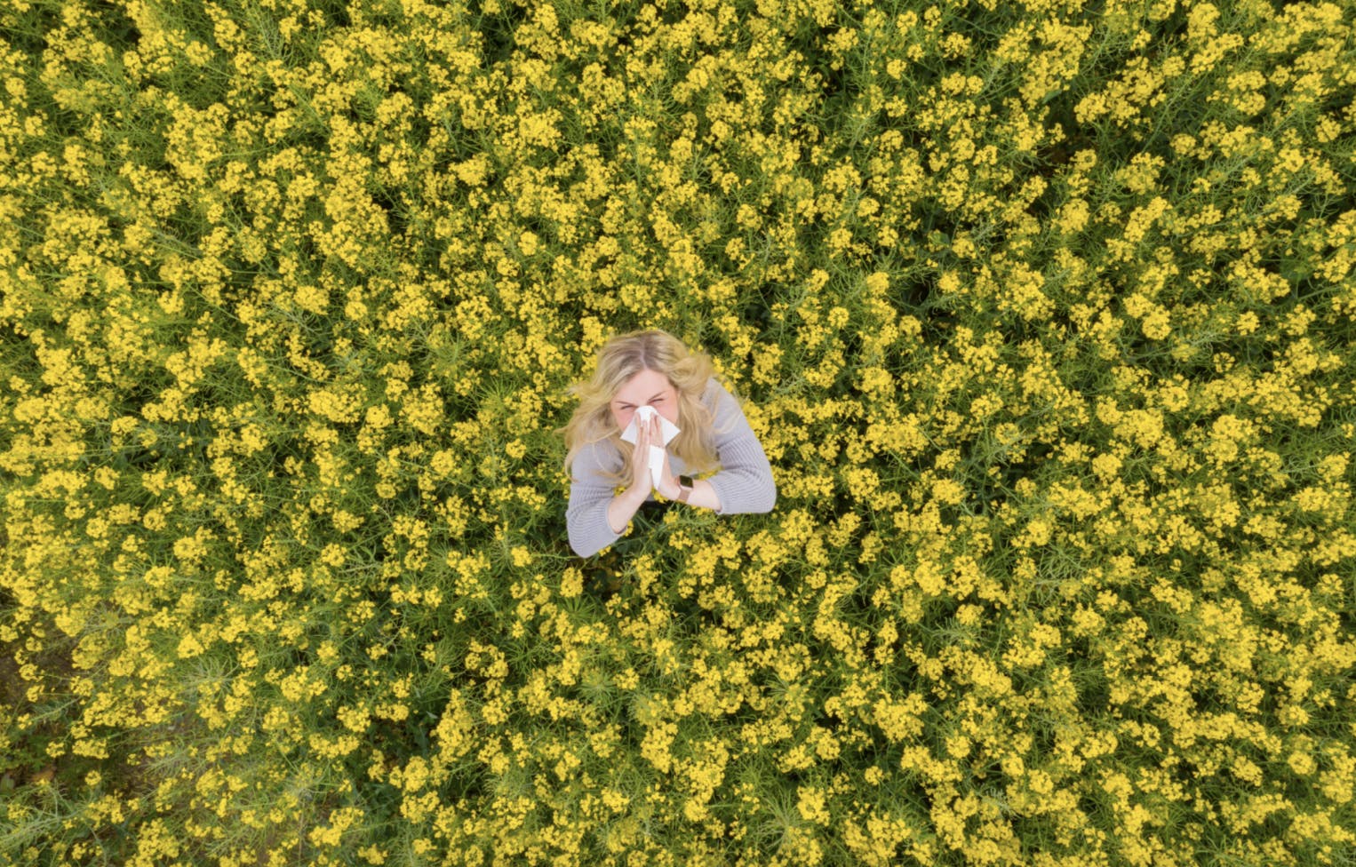 Capture d’écran 2025-04-07 à 13.37.05