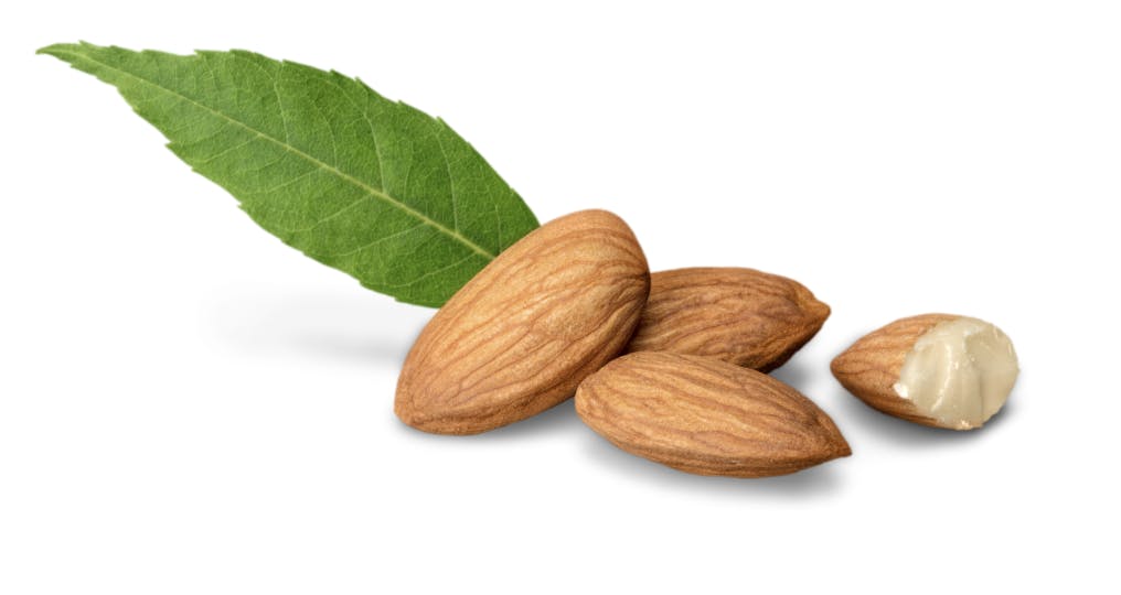 Capture d’écran 2025-04-06 à 17.14.08