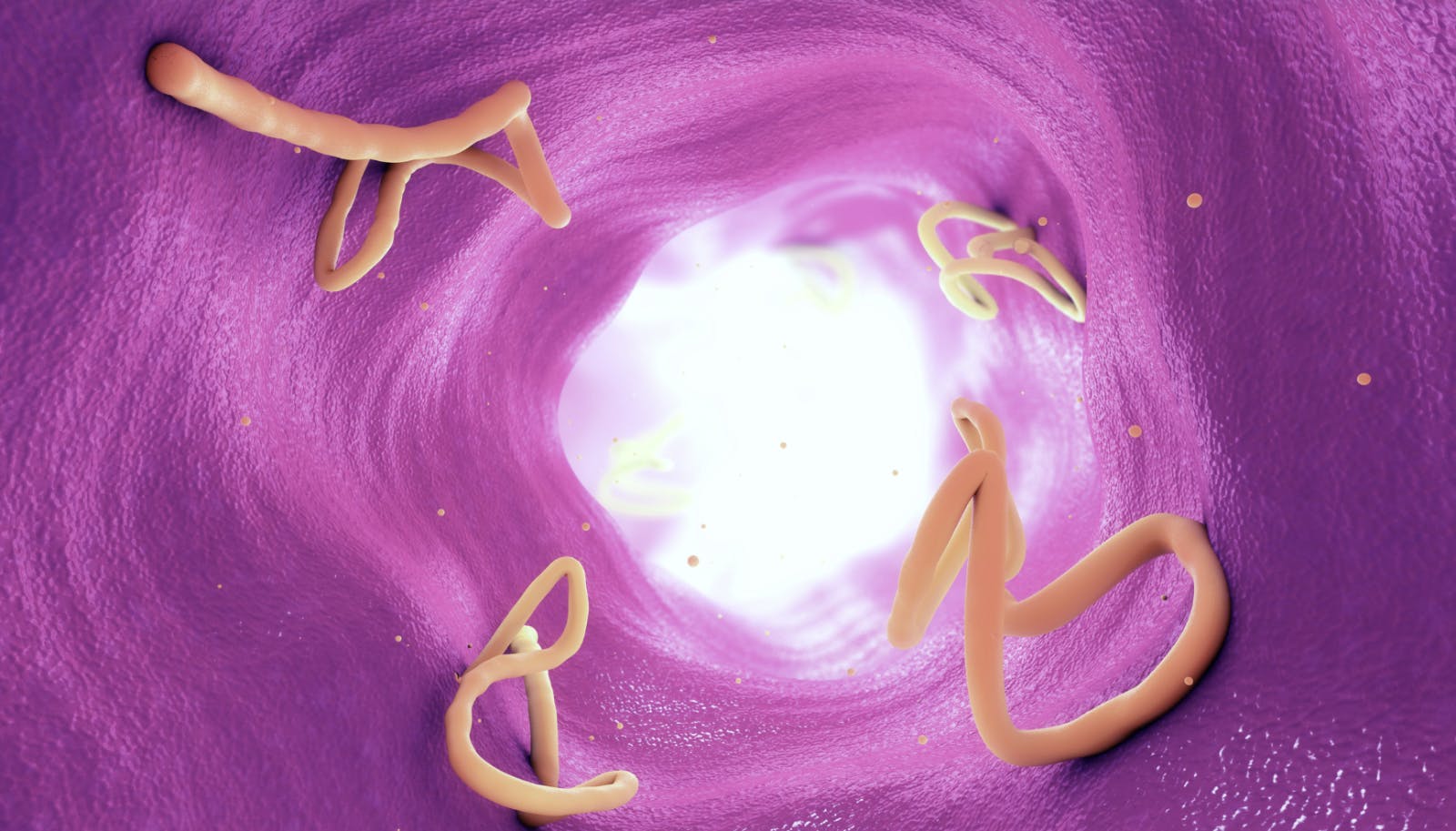 Capture_decran_2025-05-06_a_23_09_05