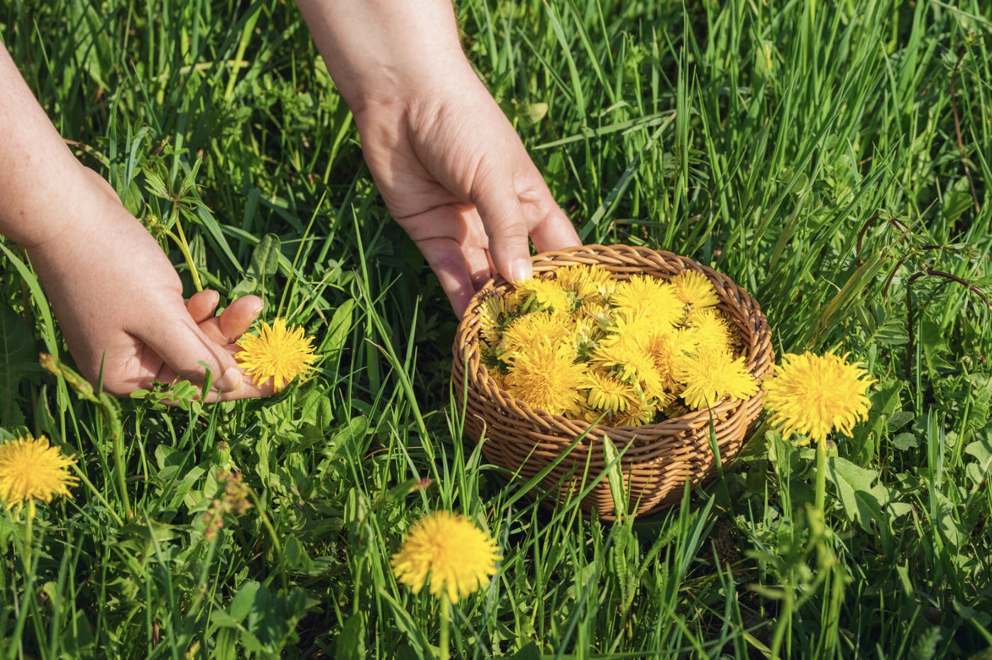 Capture d’écran 2025-06-07 à 14.21.50