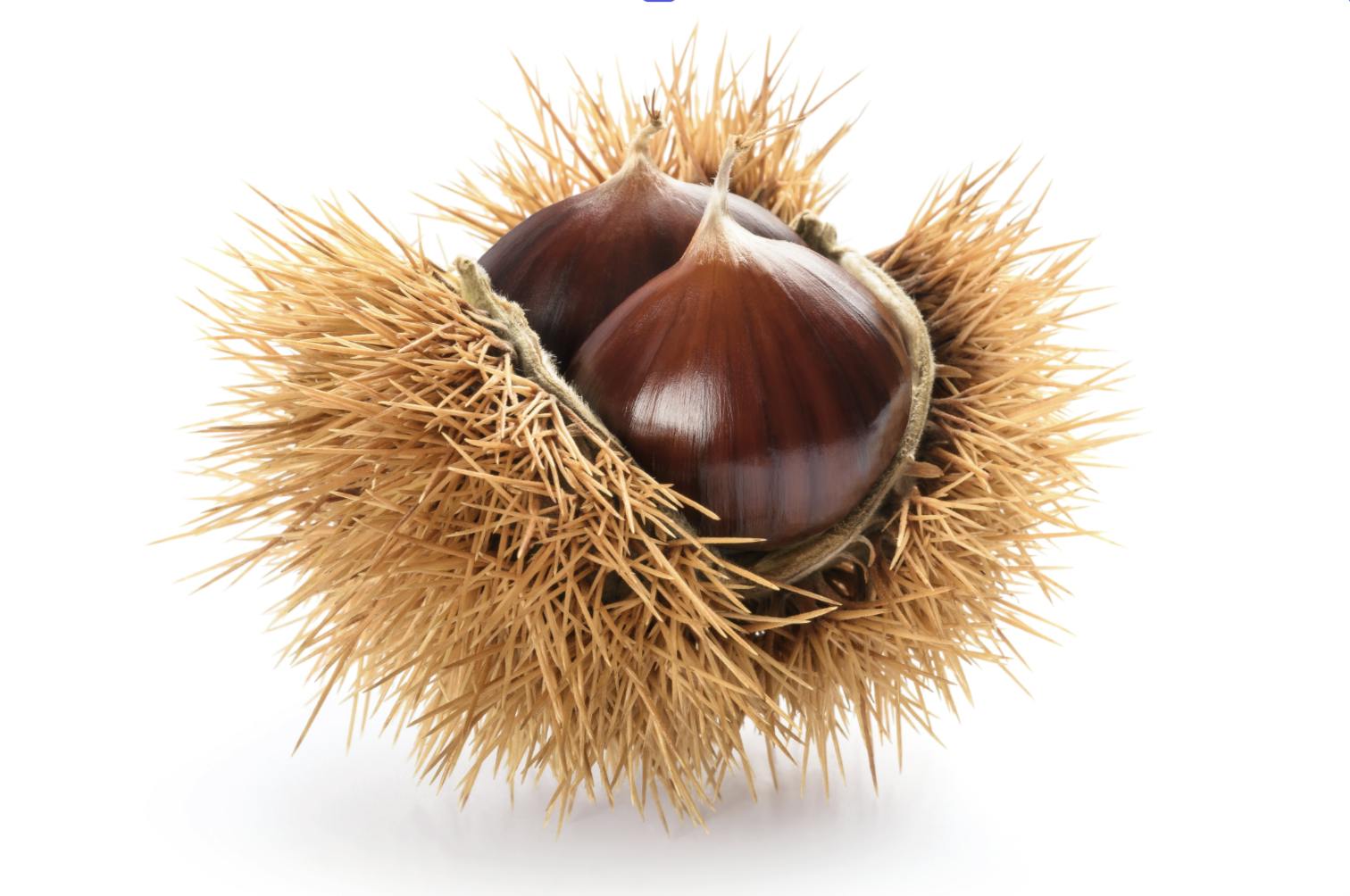 Capture d’écran 2025-06-07 à 13.25.17