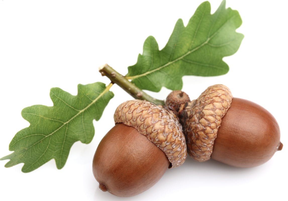 Capture d’écran 2025-07-06 à 22.11.20