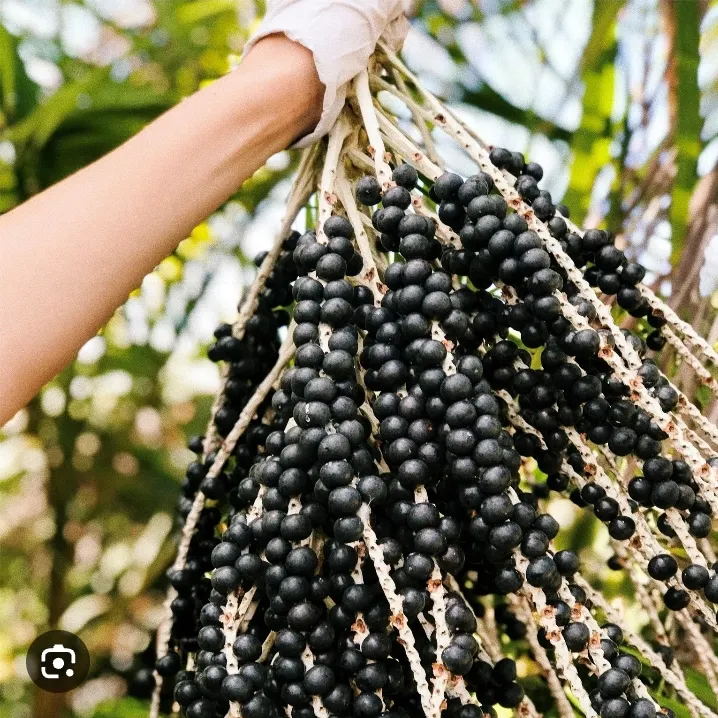 tempFileForShare_20230706-120715